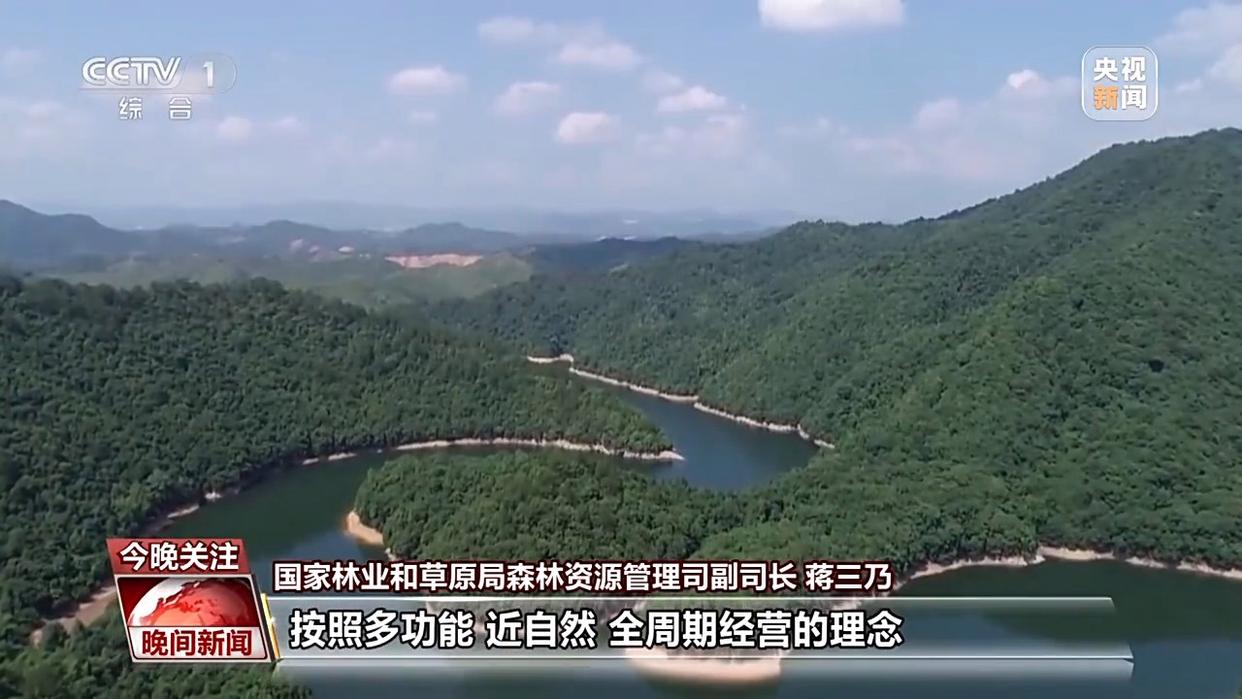 电影票房超500亿、AI赋能传统产业……中国活力持续迸发