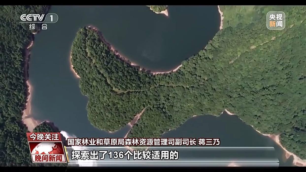 电影票房超500亿、AI赋能传统产业……中国活力持续迸发