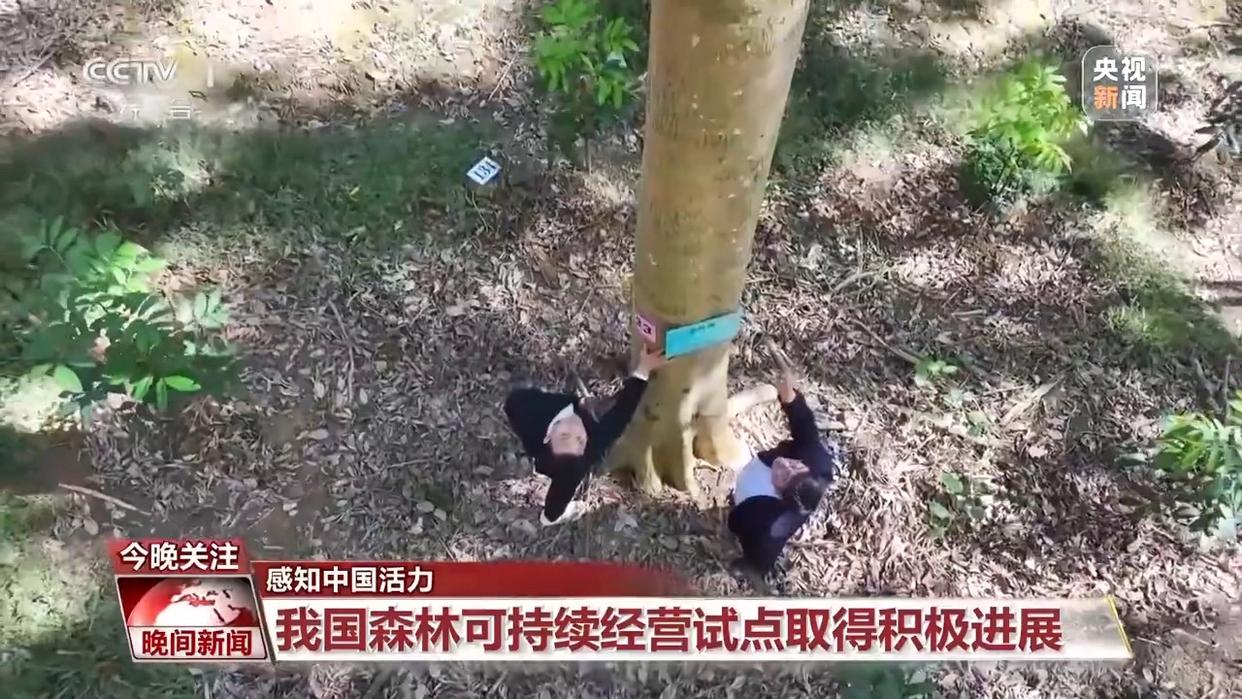 电影票房超500亿、AI赋能传统产业……中国活力持续迸发