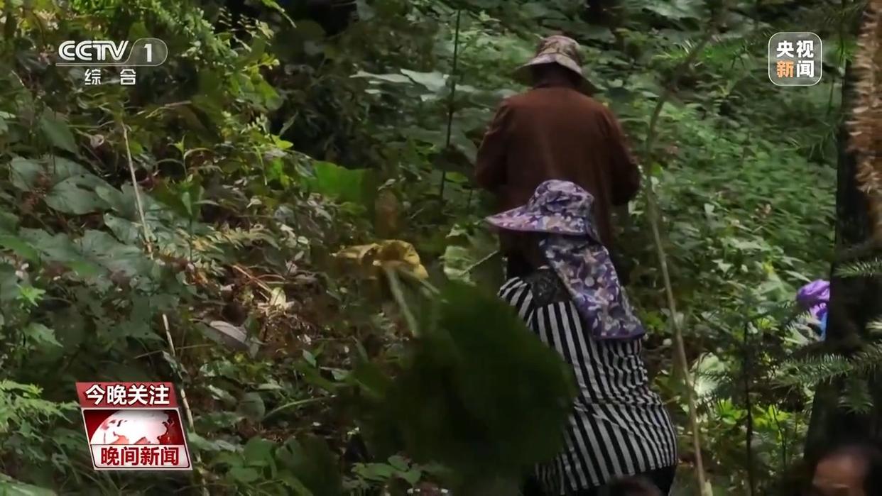 电影票房超500亿、AI赋能传统产业……中国活力持续迸发