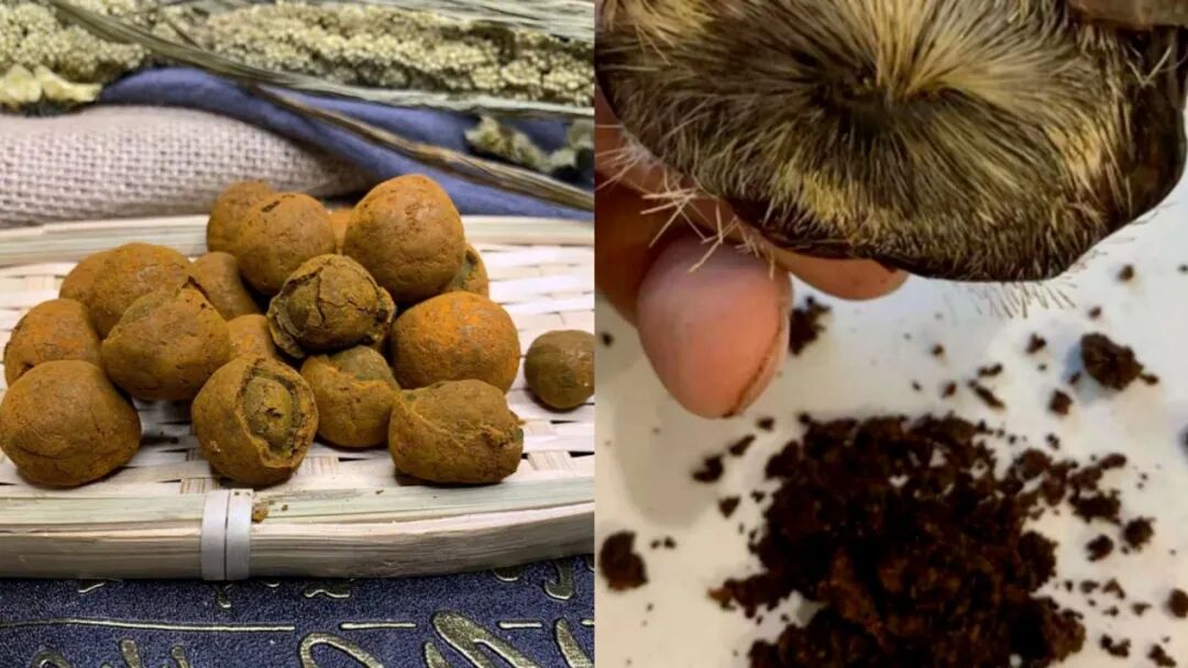 “双降”背后 片仔癀增长逻辑何在?