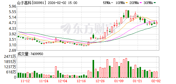 山子高科完成欧洲子公司债务重组 负债预计减少19.4亿元