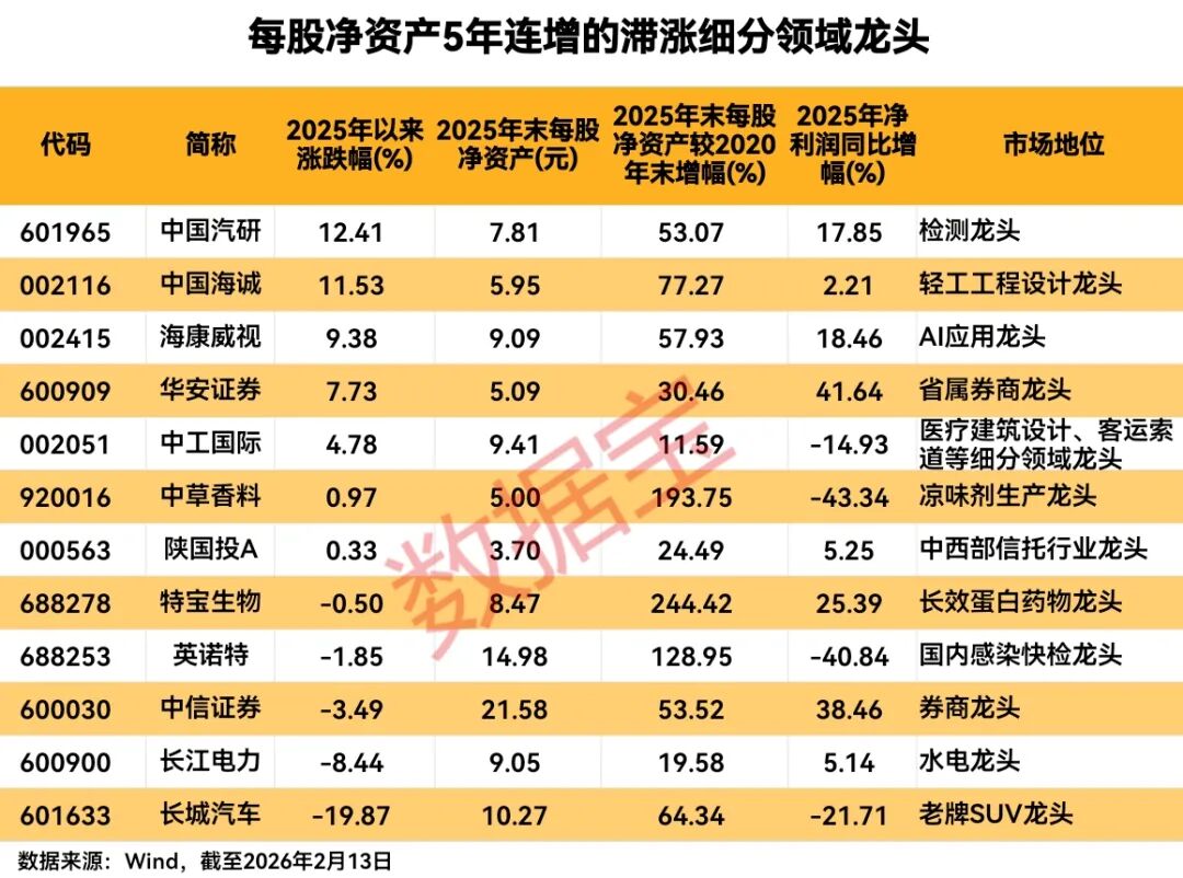 每股净资产5年连增的滞涨细分领域龙头出炉 仅12只