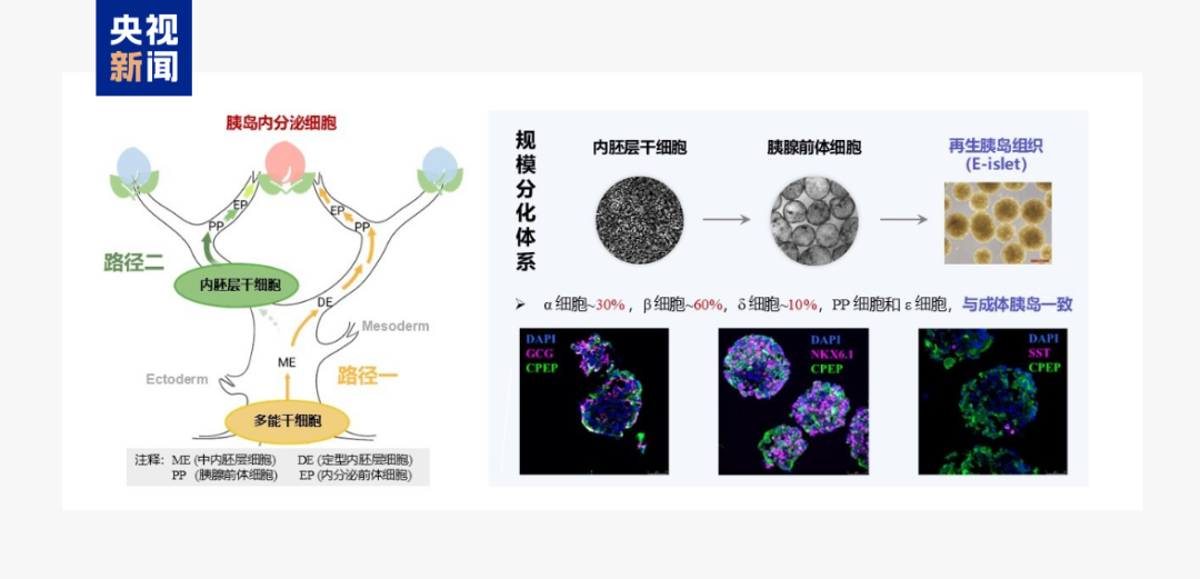 重要领域,重大突破!世界级难题,破解了→