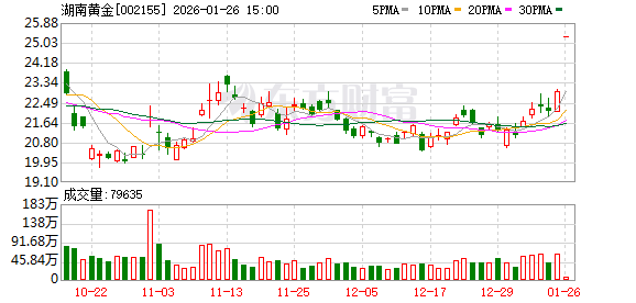 重大资产重组！两只A股突发公告！