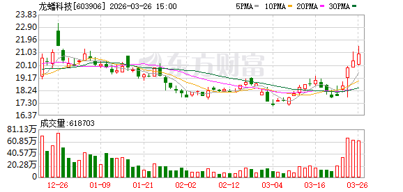 机构调研丨CPO概念+被动元件+光刻机 这家公司盘中股价创四年新高 高端产品国产替代有望加速