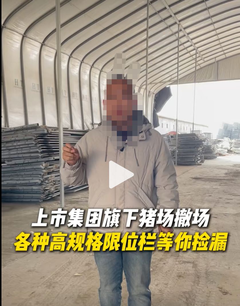 猪价跌至近15年低点 短视频热传“集团猪场倒闭潮” 真相如何?