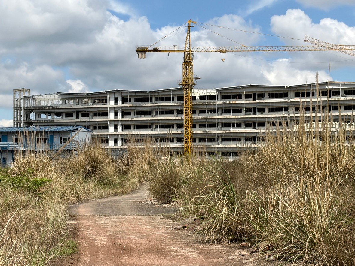 猪价跌至近15年低点 短视频热传“集团猪场倒闭潮” 真相如何?