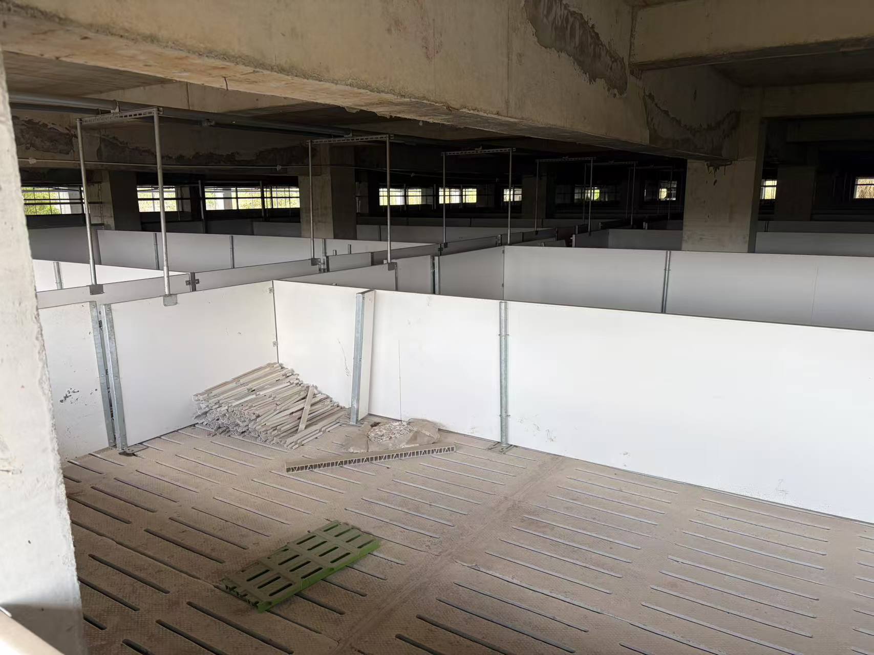 猪价跌至近15年低点 短视频热传“集团猪场倒闭潮” 真相如何?